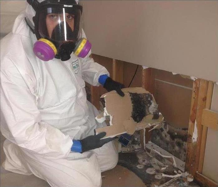 Employee in PPE showing mold damage in home